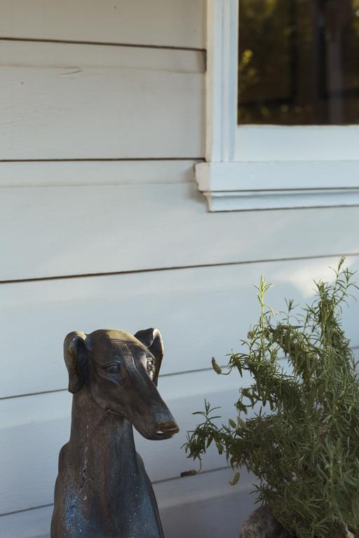 Illalangi Boutique Cottage Blackheath Esterno foto